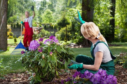 Garden maintenance in West Brompton with tidy lawn and planted borders