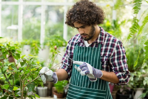 Professional gardening services improving a West Brompton garden