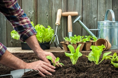 Gardeners West Brompton recycling garden waste in a sustainable way