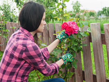 Sustainable garden maintenance with recycling and waste separation