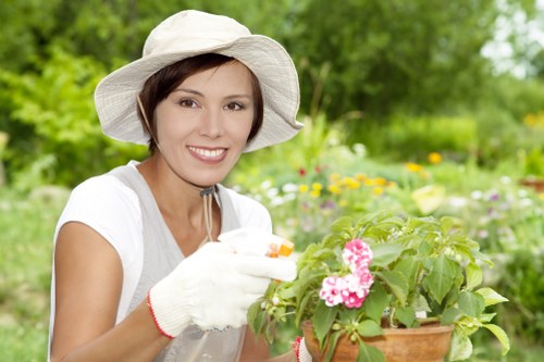 Graphic showing website analytics for gardening services