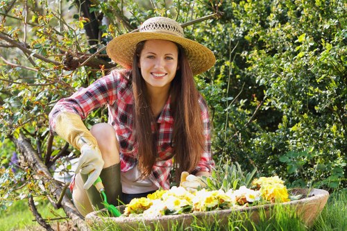 Routine lawn care and hedge trimming in West Brompton