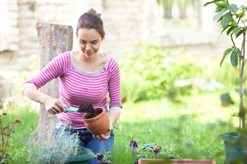 Green waste and clutter removed from a West Brompton garden