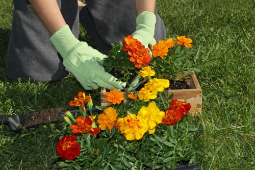 Garden waste and debris removal in West Brompton
