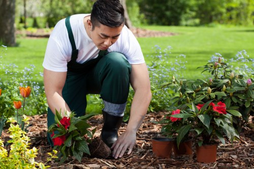 Professional West Brompton gardening team improving a landscaped space