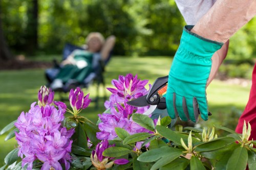 Professional garden clearance work in a West Brompton property