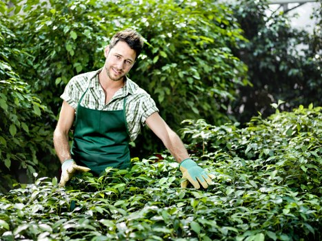 Health and safety commitment for professional gardeners
