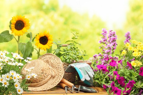 Seasonal garden maintenance in West Brompton with lawn care and hedge trimming