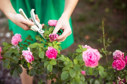 Trained gardeners shaping a private garden in West Brompton