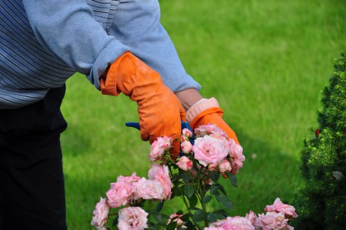 Keyboard navigation and screen-reader support for local gardening information