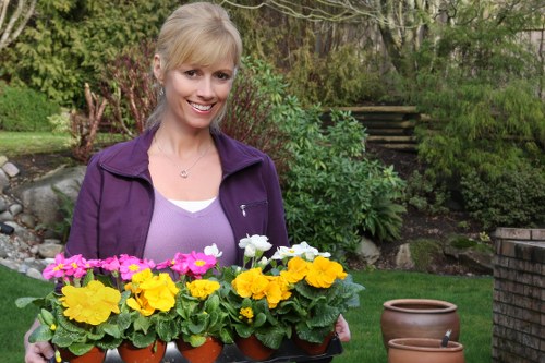 Inclusive West Brompton gardening website accessibility review