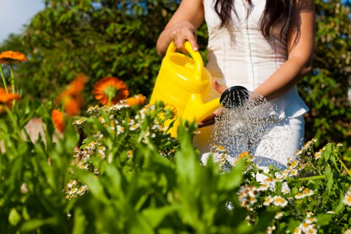 Reviewing a service issue in a garden care setting