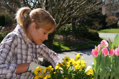About Us Gardeners West Brompton presenting quality outdoor care