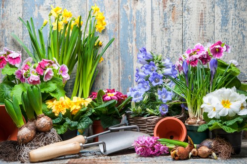 Accessible gardening services content for the West Brompton area