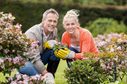 Weed control and soil improvement for a West Brompton garden