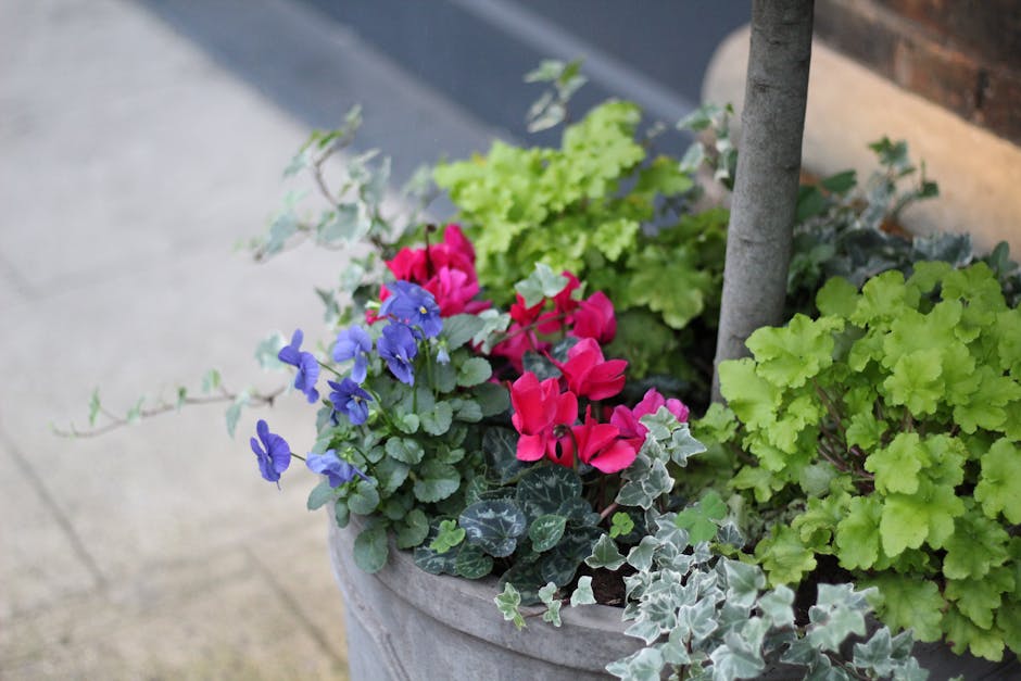 A large outdoor concrete planter contains a variety of vibrant plants, including bright pink and blue flowers, lush green leafy foliage, and variegated ivy cascading over the sides. The arrangement fe