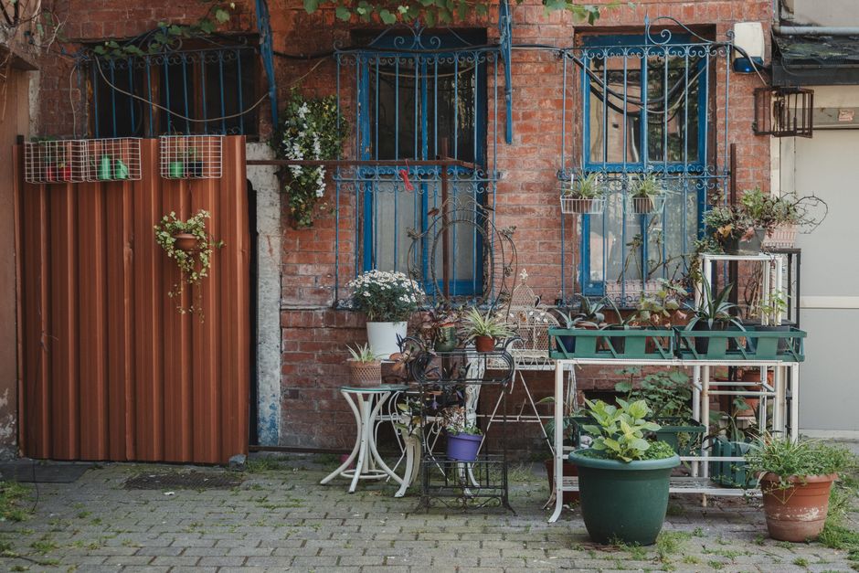 A large outdoor concrete planter contains a variety of vibrant plants, including bright pink and blue flowers, lush green leafy foliage, and variegated ivy cascading over the sides. The arrangement fe