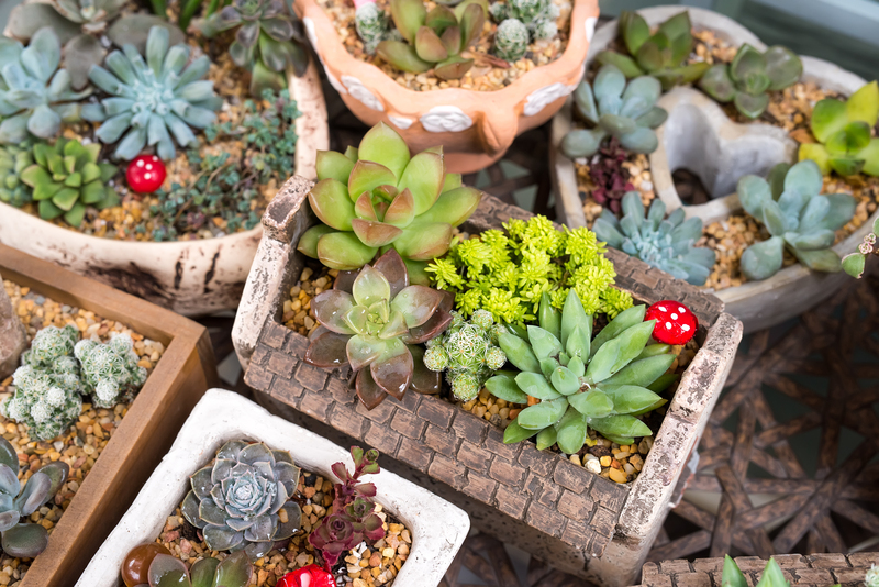 garden design hedge cutting