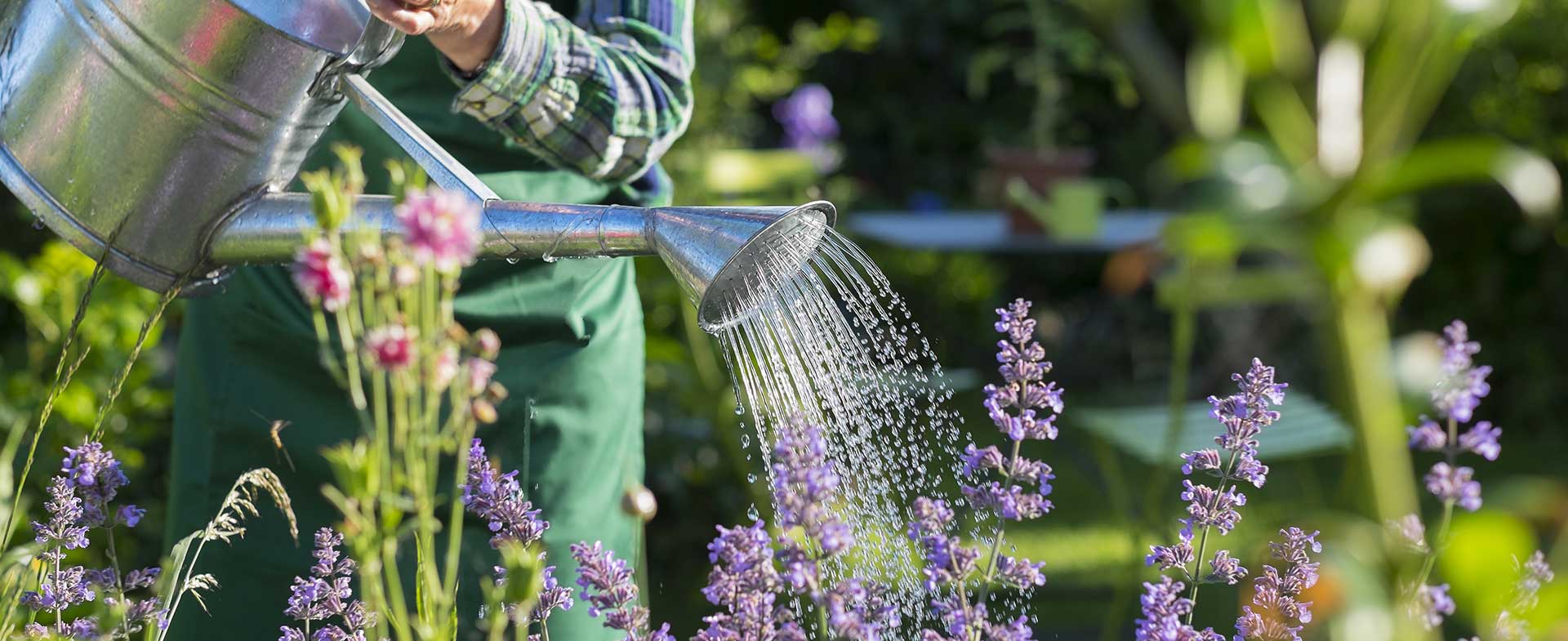 Gardeners West Brompton